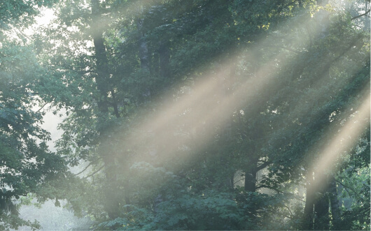 技術承継コンサルティングに関するお問い合わせ