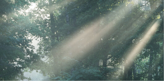 技術承継コンサルティング