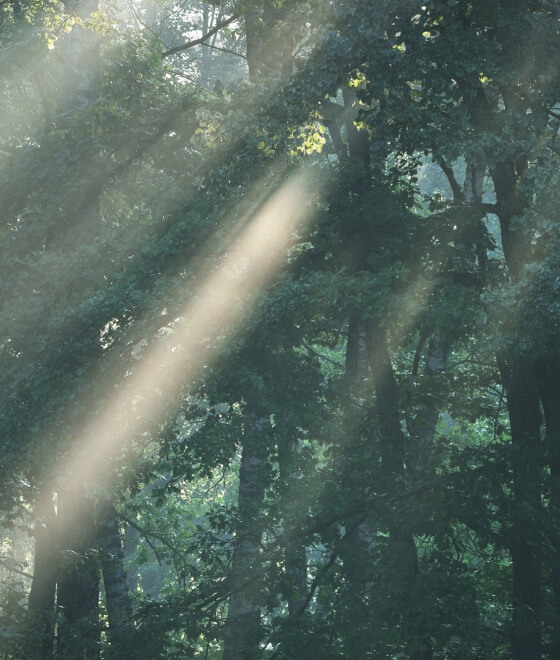 技術継承コンサルティング